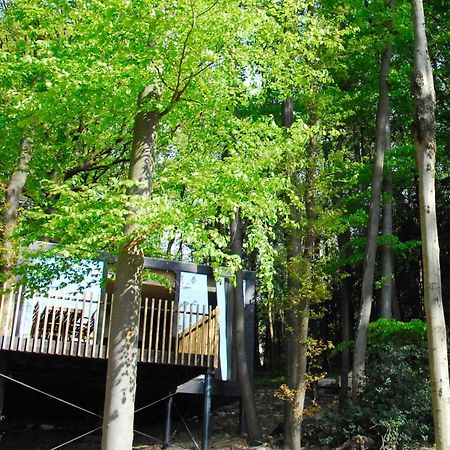 Gite Des Bois De سبا المظهر الخارجي الصورة