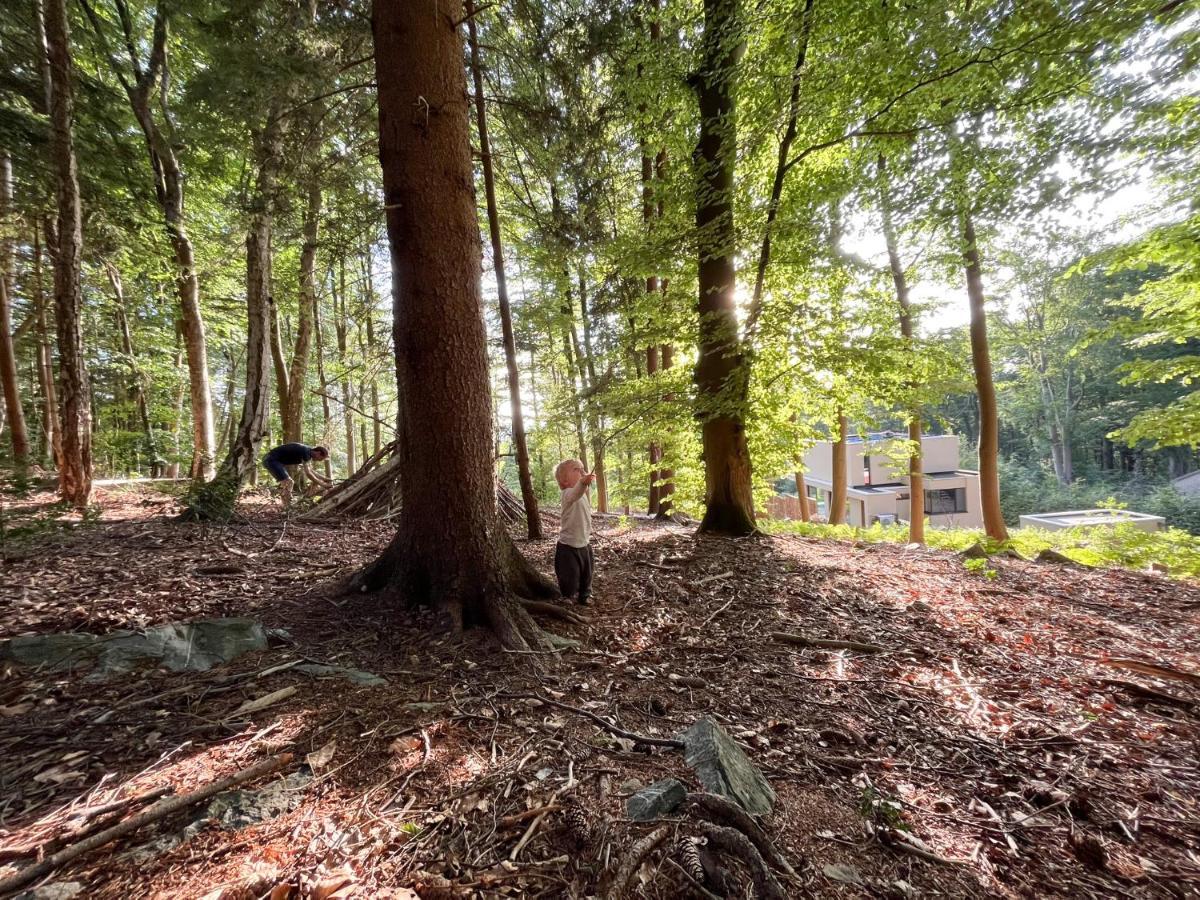Gite Des Bois De سبا المظهر الخارجي الصورة