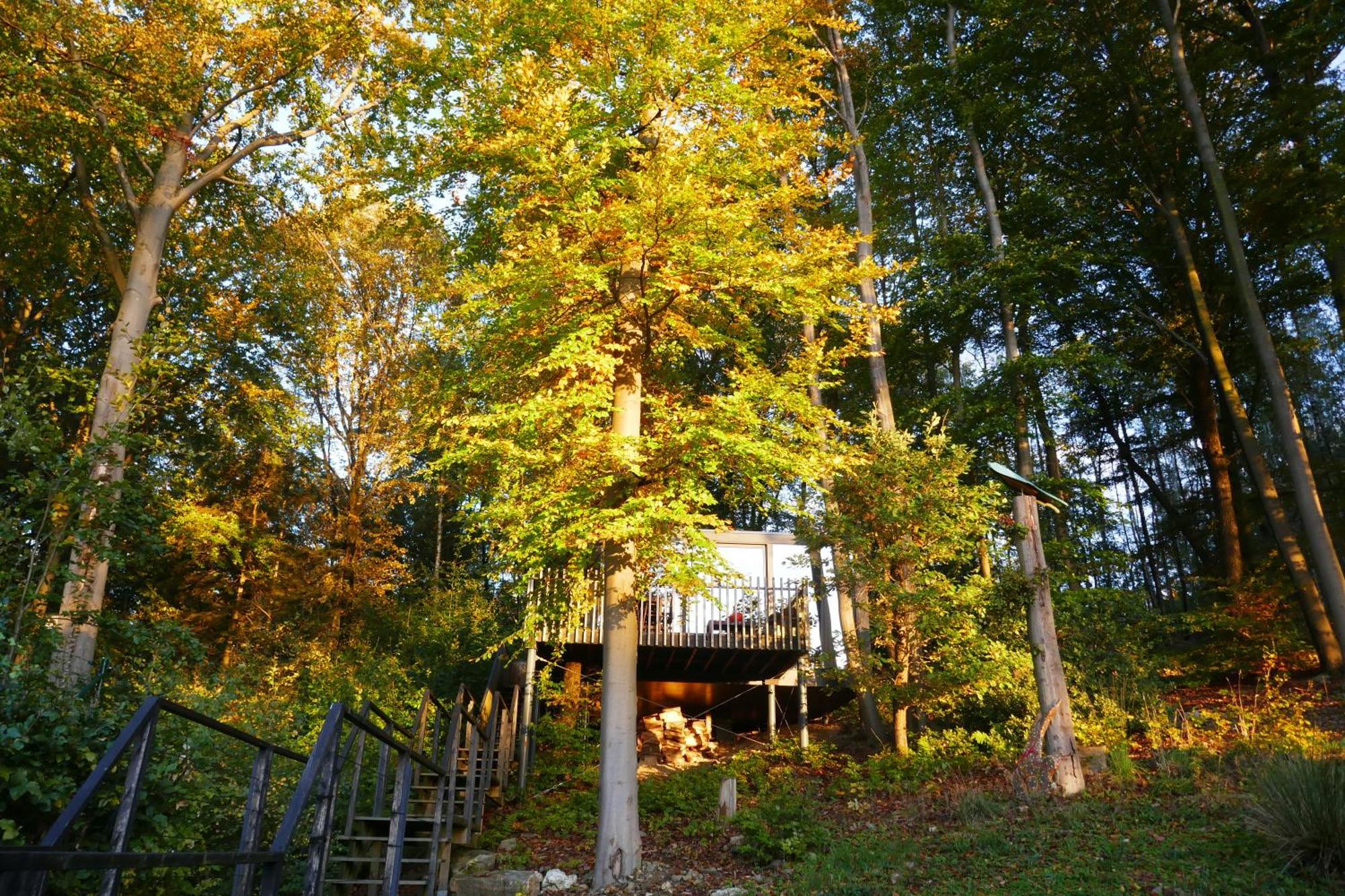 Gite Des Bois De سبا المظهر الخارجي الصورة