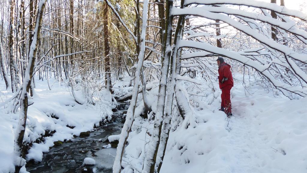Gite Des Bois De سبا المظهر الخارجي الصورة