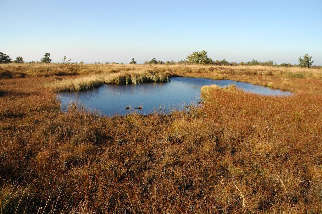 Gite Des Bois De سبا المظهر الخارجي الصورة