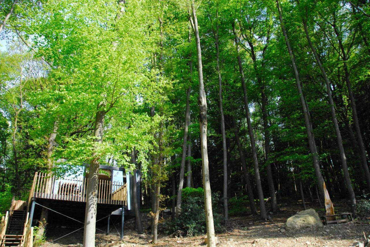 Gite Des Bois De سبا المظهر الخارجي الصورة